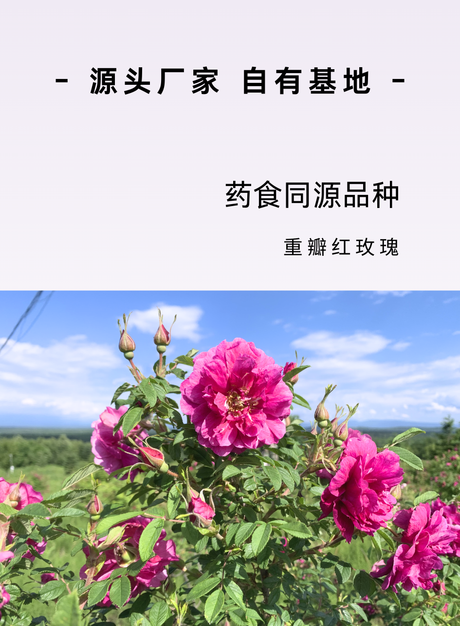 0066a527e65a3bd2e733fb2ea0d7c82a.png