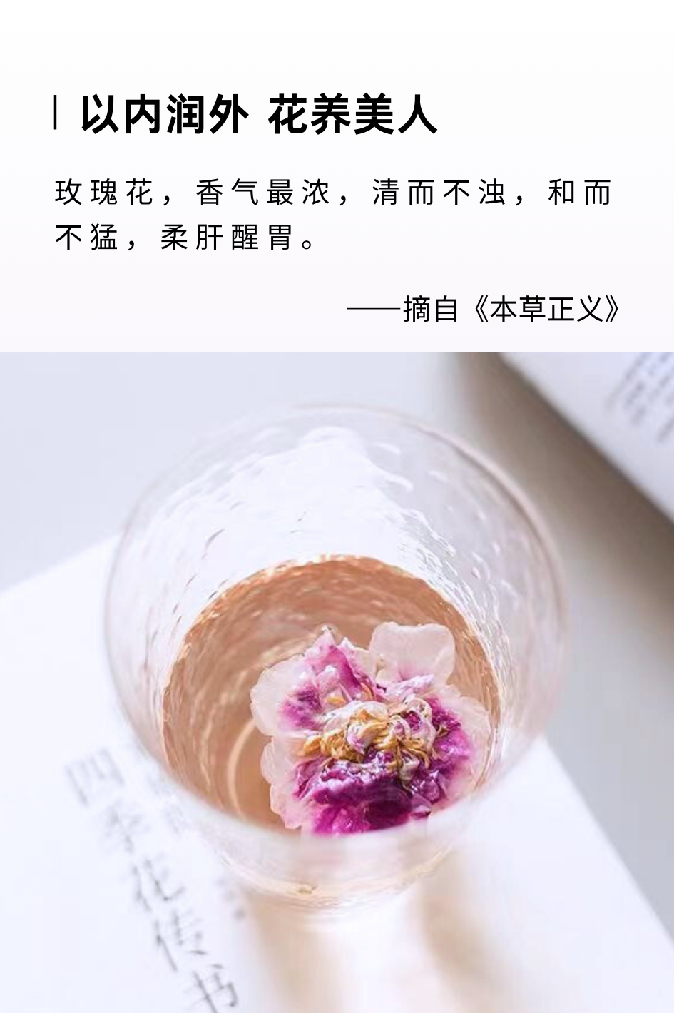 49d236e50a57a9dcc9e8fe2b65c01735.png