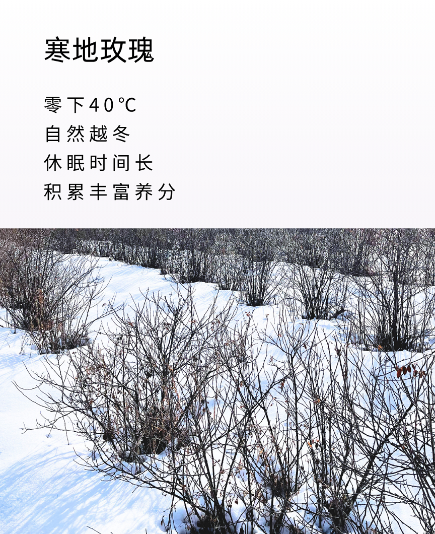 57bce6ab6f0eb4b38b6398be0f9a25cb.png