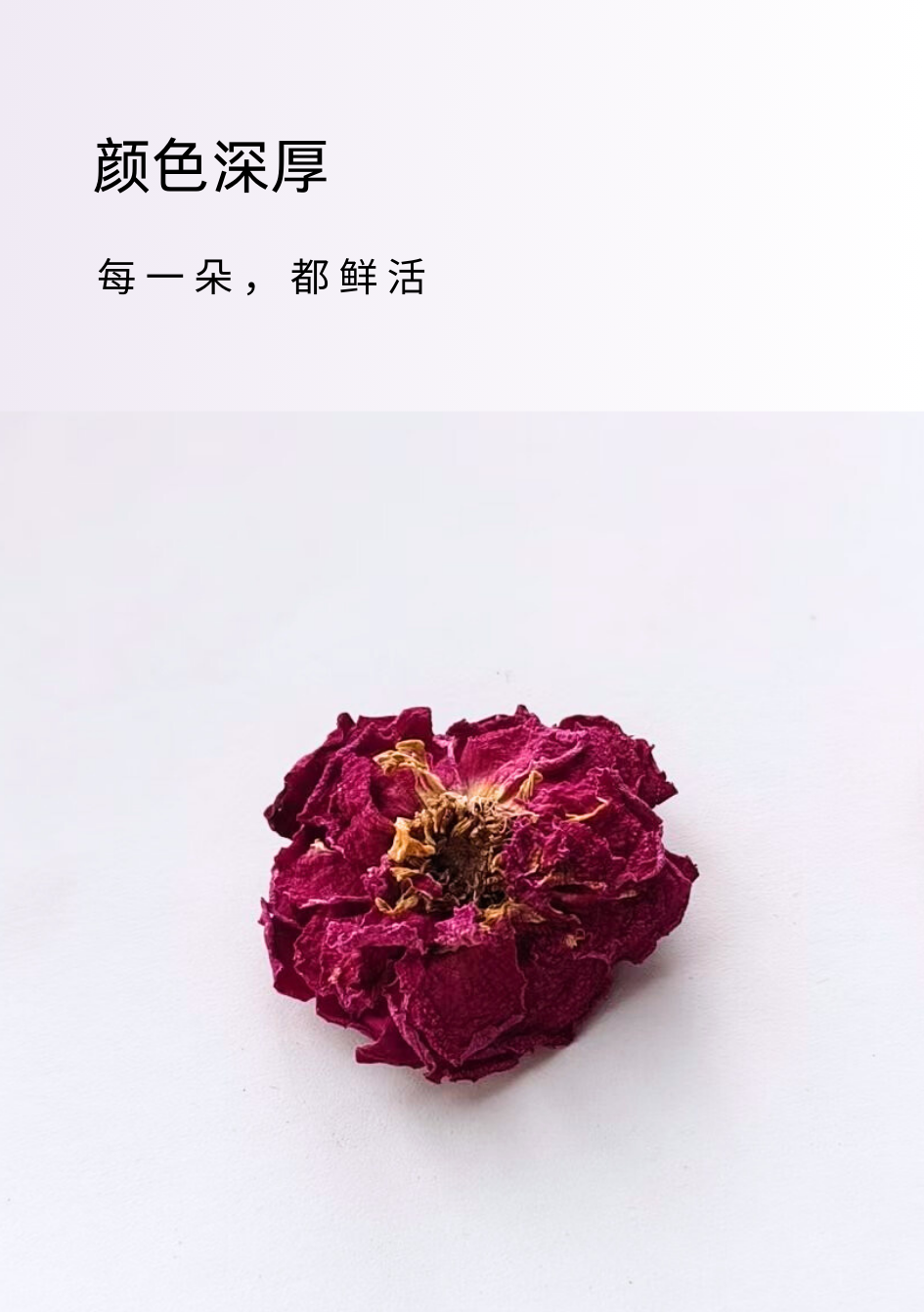 a09a6ac2c6162869c0b795312208f2e5.png