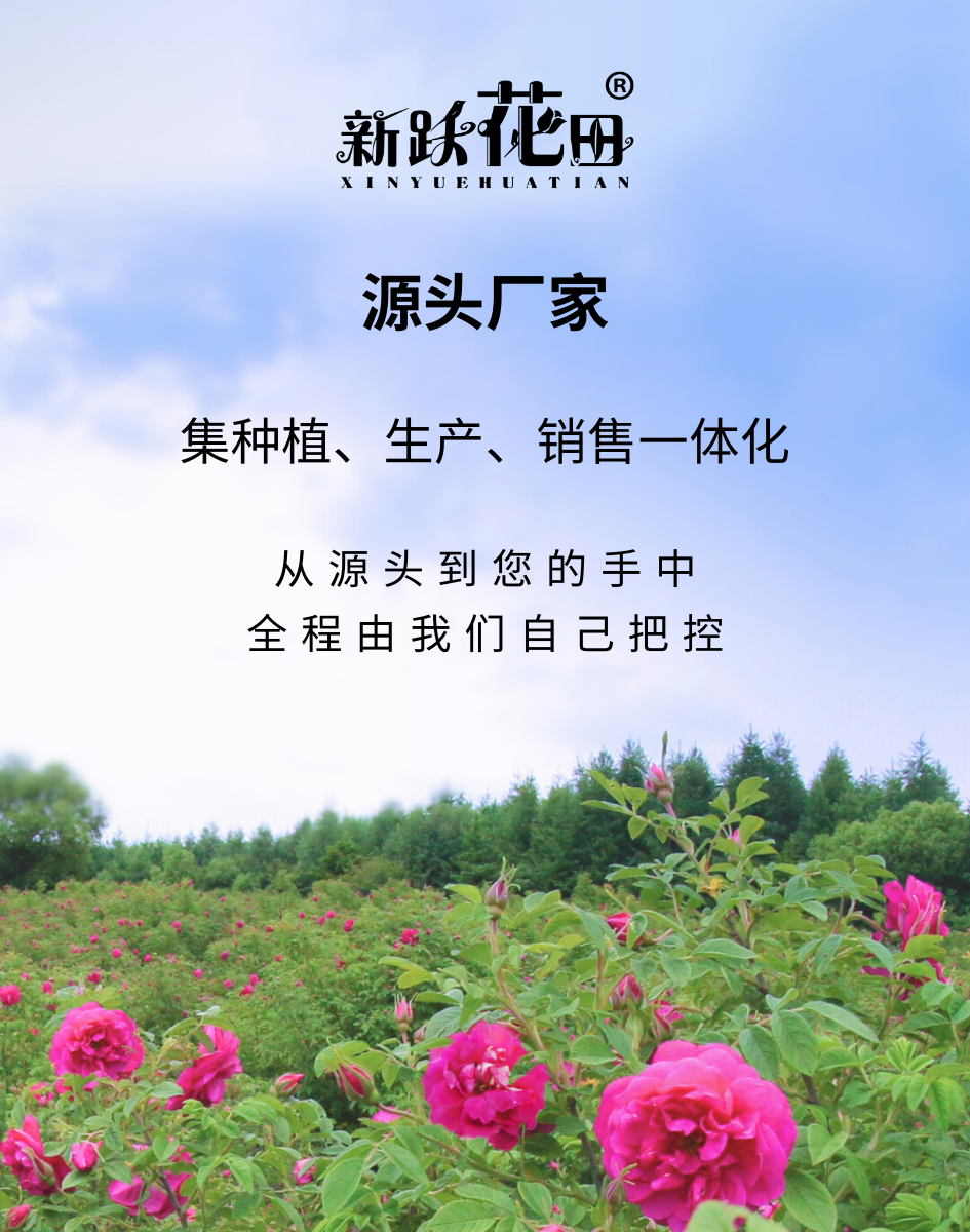c3a01523b3fbc3bbda1d9719f7cd6536.png