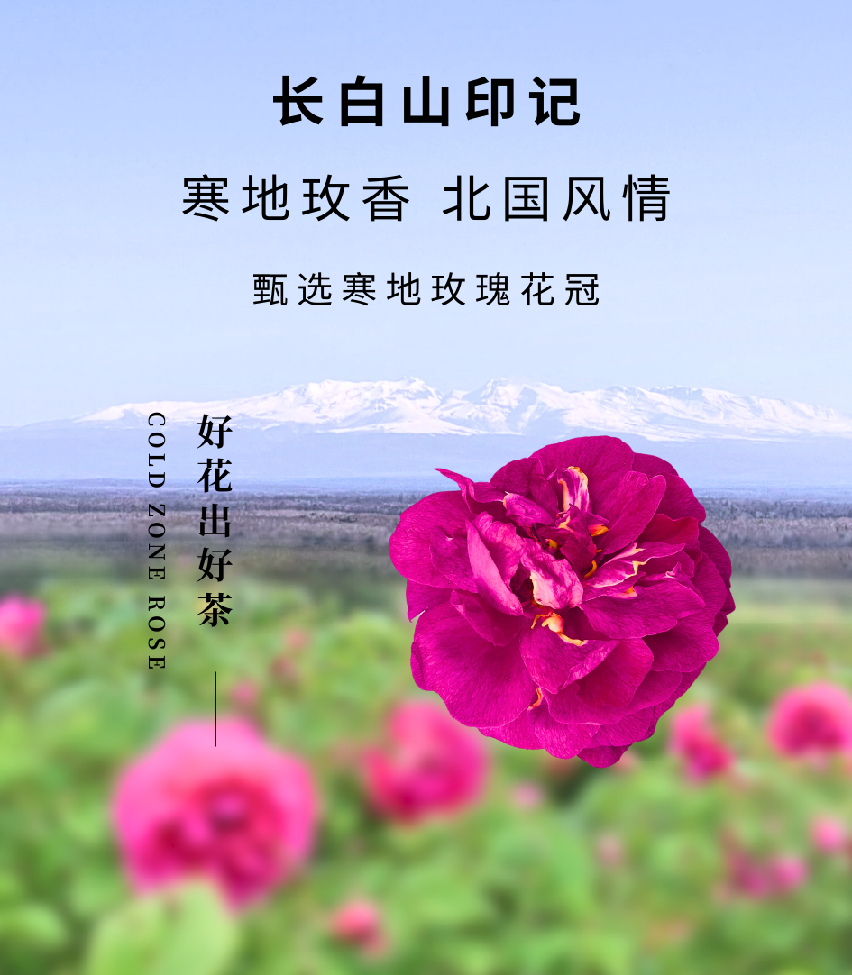f5ee738335abece099c74f5523d2f4eb.png