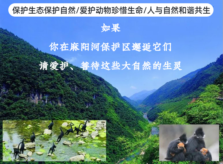 ffe31a6053851b08cd8e0067efd5b327.jpg