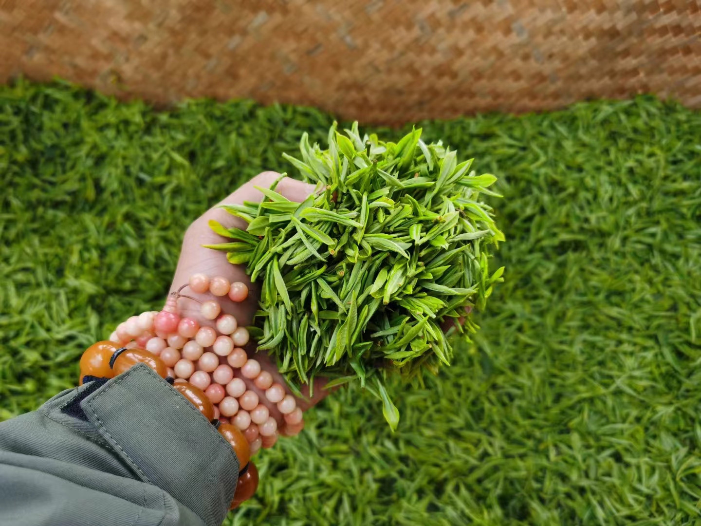 径山生态茶